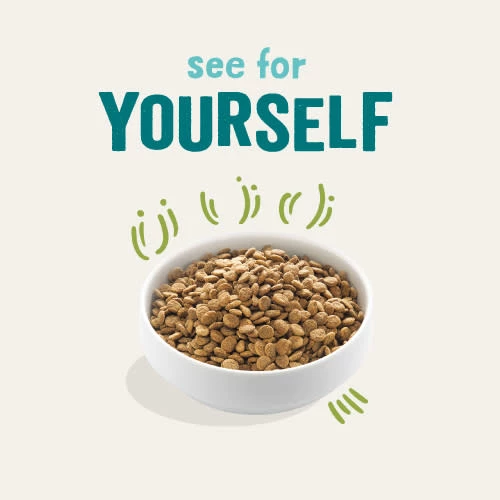 Edgard & Cooper Fresh Lamb Grain Free Adult Dog Food - Image 8