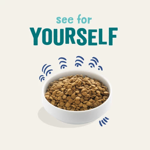 Edgard & Cooper Fresh Norwegian Salmon Grain Free Adult Dog Food - Image 8