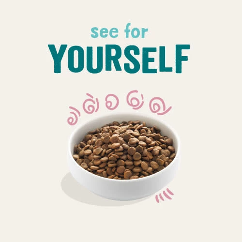 Edgard & Cooper Fresh Duck & Chicken Grain Free Puppy Food - Image 7