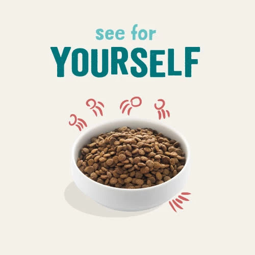 Edgard & Cooper Chicken & Norwegian Salmon Grain Free Senior Dog Food - Image 8