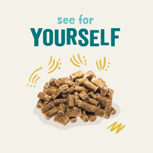 Edgard & Cooper Champion Chicken Bites Dog Treats - Image 7