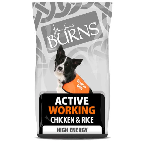 Burns Active Chicken & Rice Adult Dog Food