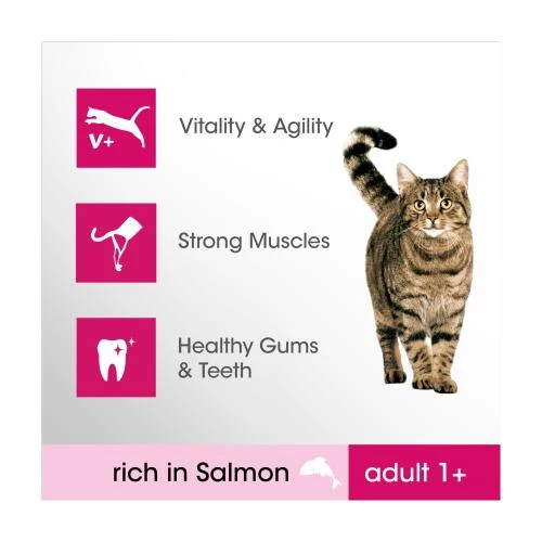 Perfect Fit Salmon Dry Adult 1+ Cat Food - Image 5