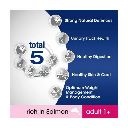 Perfect Fit Salmon Dry Adult 1+ Cat Food - Image 6