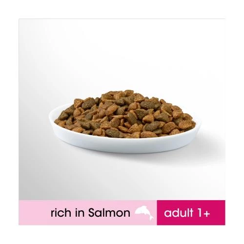 Perfect Fit Salmon Dry Adult 1+ Cat Food - Image 3