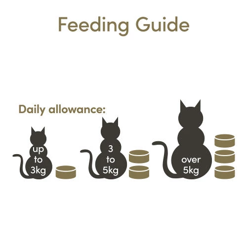 Applaws Natural Fish Selection In Broth Wet Adult Cat Food - Image 4