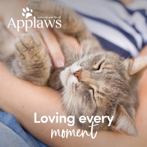 Applaws Natural Tuna With Salmon In Jelly Wet Adult Cat Food - Image 6