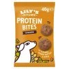 Lily's Kitchen Lilys Kitchen Chicken Protein Bites Dog Treats