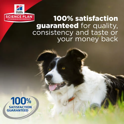 Hills Science Plan Small And Miniature Puppy Chicken & Turkey Dry Dog Food - Image 2