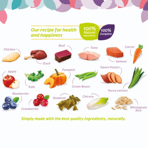 HiLife Its Only Natural Complete The Marketplace One Wet Adult Dog Food - Image 3