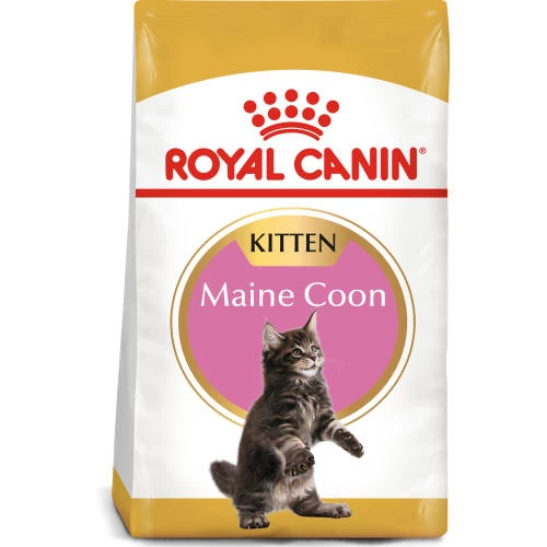 Royal Canin Maine Coon Dry Kitten Cat Food