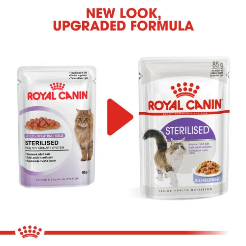 Royal Canin Sterilised Adult In Jelly Wet Cat Food Pouches - Image 2
