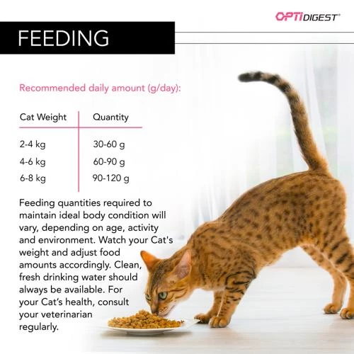 PURINA PRO PLAN PRO PLAN OPTIDIGEST Turkey Delicate Sensitive Digestion Adult Dry Cat Food - Image 3