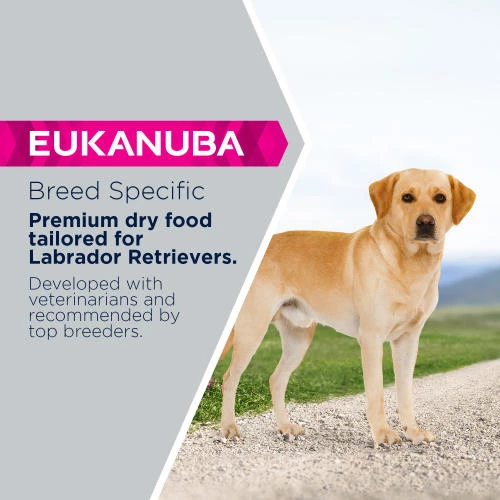 Eukanuba Labrador Retriever Adult Dog Food - Image 4