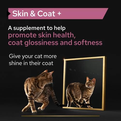 PURINA PRO PLAN PRO PLAN Adult And Senior Skin & Coat Cat Supplement - Image 7
