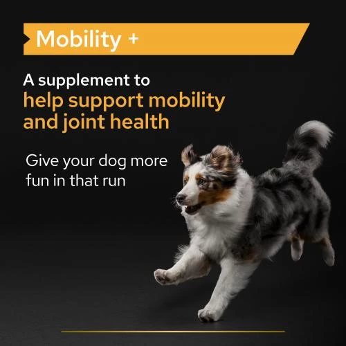 PURINA PRO PLAN PRO PLAN Adult & Senior Mobility Powder Dog Supplement - Image 5