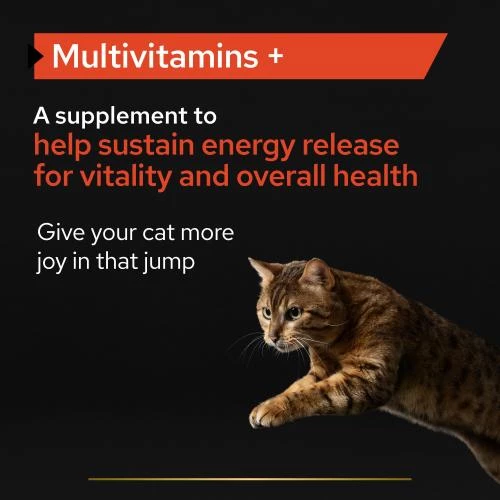 PURINA PRO PLAN PRO PLAN Adult & Senior Multivitamins Cat Supplement - Image 4