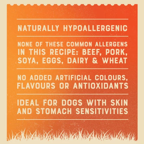 James Wellbeloved Senior Variety Pack In Loaf Wet Dog Food - Image 4