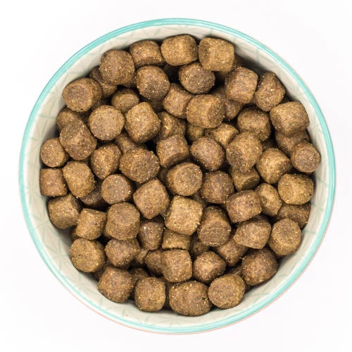 Burns Active Chicken & Rice Adult Dog Food - Image 7
