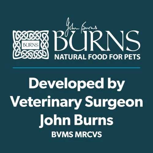Burns Active Chicken & Rice Adult Dog Food - Image 4