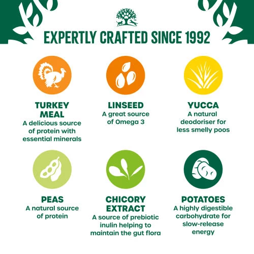 James Wellbeloved Grain Free Turkey & Vegetables Dry Adult Dog Food - Image 5