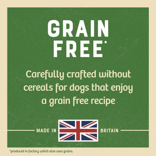 James Wellbeloved Lamb Senior Dog Grain Free Pouches - Image 2