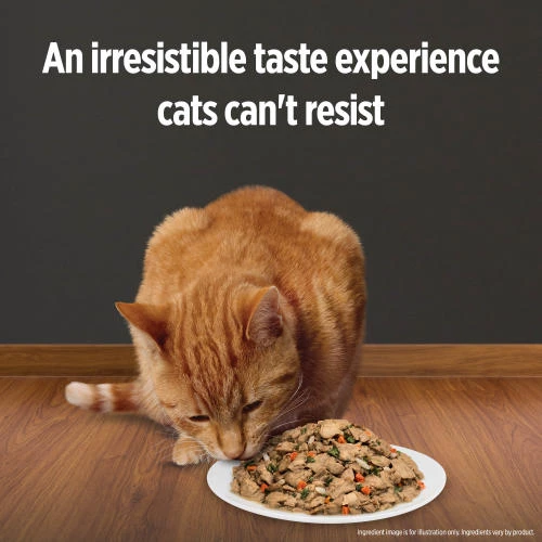 Hills Prescription Diet KD Chicken & Veg Stew Wet Cat Food - Image 2