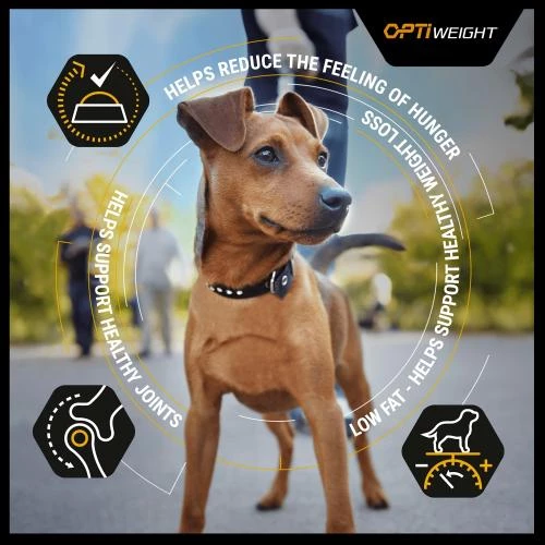 PURINA PRO PLAN PRO PLAN OPTIWEIGHT Light & Sterilised Chicken Adult Dog Food - Image 4