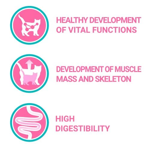 Purina ONE Chicken & Whole Grains Kitten Food - Image 2