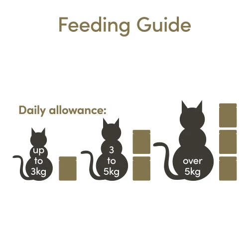 Applaws Natural Fish Selection In Broth Wet Adult Cat Food - Image 5