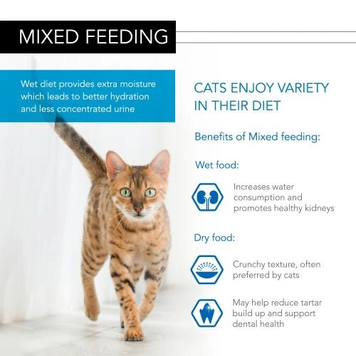 PURINA PRO PLAN PRO PLAN NUTRISAVOUR Delicate Ocean Fish Adult Cat Food - Image 3