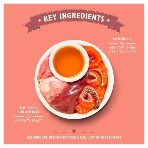 Lily's Kitchen Lilys Kitchen Organic Fish Pate Complete Wet Cat Food - Image 4