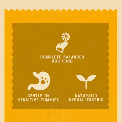 James Wellbeloved Lamb & Rice Senior Dog Pouches - Image 6