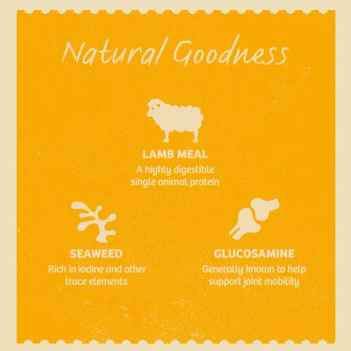 James Wellbeloved Lamb & Rice Senior Dog Pouches - Image 5