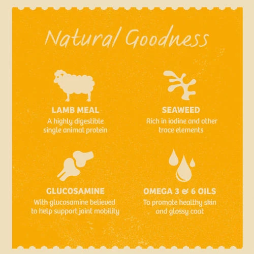 James Wellbeloved Lamb Senior Dog Grain Free Pouches - Image 4