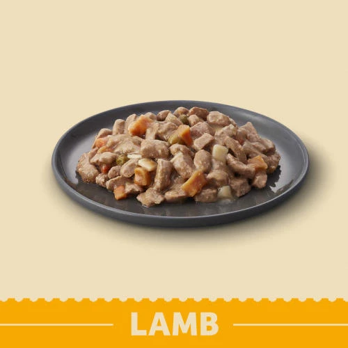 James Wellbeloved Lamb Senior Dog Grain Free Pouches - Image 3