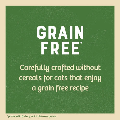 James Wellbeloved Grain Free Turkey Senior Cat Pouches - Image 4