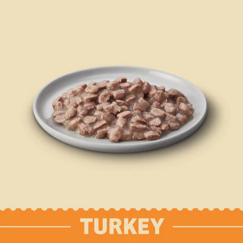 James Wellbeloved Grain Free Turkey Senior Cat Pouches - Image 6