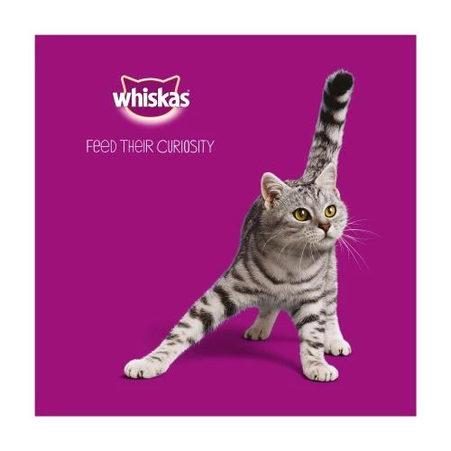 Whiskas 1+ Pure Delight Poultry Selection In Jelly Wet Adult Cat Food - Image 4