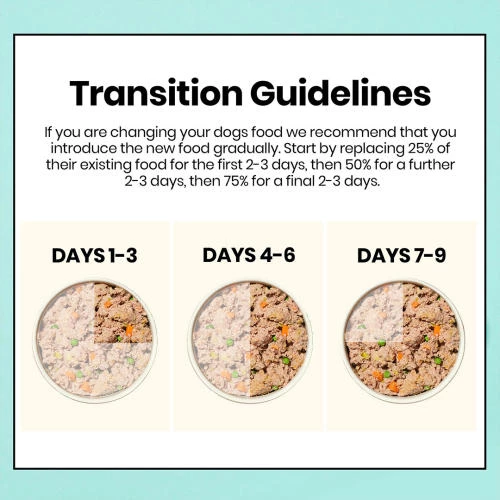 Pooch & Mutt Multipack Adult Wet Dog Food Cartons - Image 8