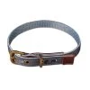 FatFace Marching Dogs Collar For Dogs