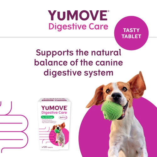 YuMOVE Digestive Care For All Dogs - Image 3