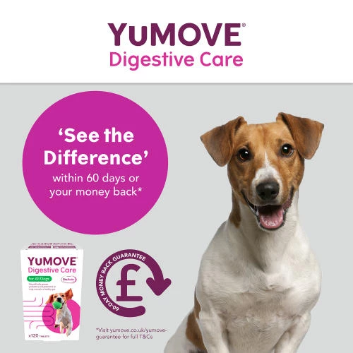 YuMOVE Digestive Care For All Dogs - Image 4