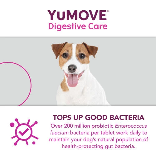 YuMOVE Digestive Care For All Dogs - Image 5