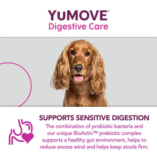YuMOVE Digestive Care For All Dogs - Image 7