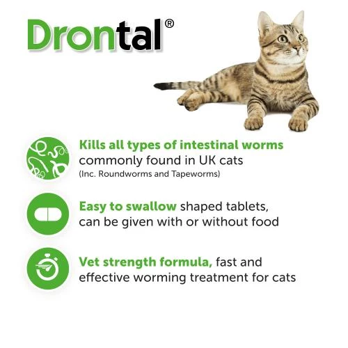 Drontal Worming Tablets For Large Cats Over 4kg - Image 2