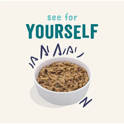 Edgard & Cooper Grain Free Multipack Wet Adult Cat Food - Image 6