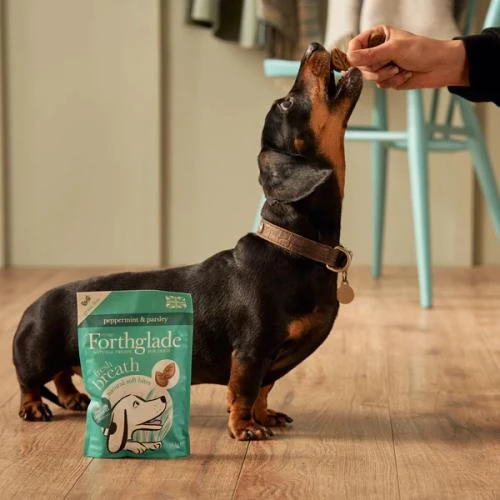 Forthglade Fresh Breath Soft Bites Dog Treats - Image 4