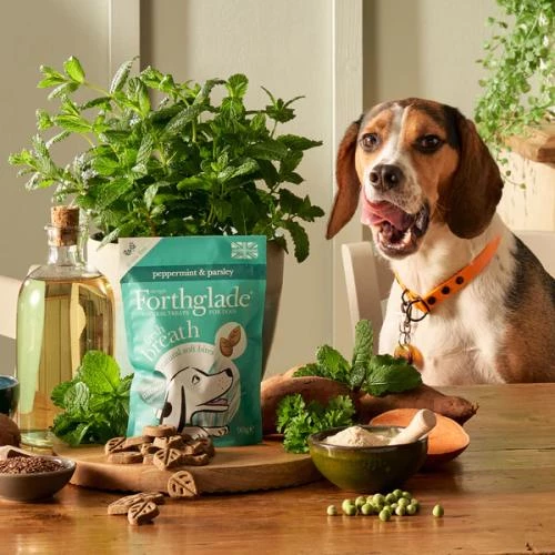 Forthglade Fresh Breath Soft Bites Dog Treats - Image 5