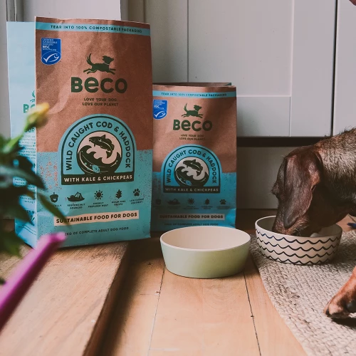 Beco Pets Beco Wild Caught Cod & Haddock With Kale & Chickpeas Dry Adult Dog Food - Image 3